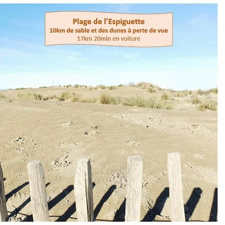 Suite Thalassa 1Ere Ligne Plages Du Couchant Wifi - Rossiconciergerie - Linge Inclus لا غراند موت المظهر الخارجي الصورة