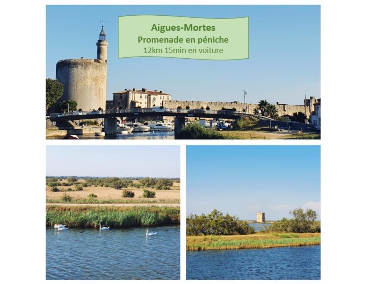 Suite Thalassa 1Ere Ligne Plages Du Couchant Wifi - Rossiconciergerie - Linge Inclus لا غراند موت المظهر الخارجي الصورة